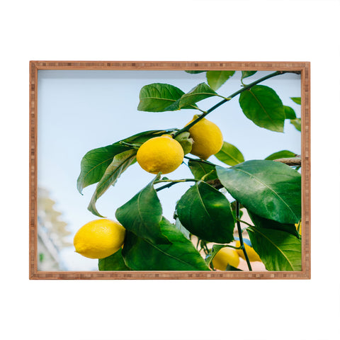 Bethany Young Photography Amalfi Coast Lemons III Rectangular Tray