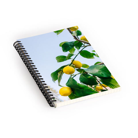 Bethany Young Photography Amalfi Coast Lemons III Spiral Notebook
