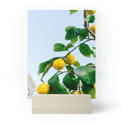 Bethany Young Photography Amalfi Coast Lemons III Mini Art Print
