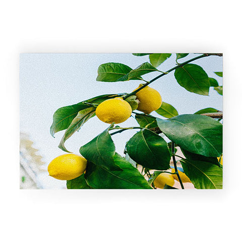 Bethany Young Photography Amalfi Coast Lemons III Welcome Mat