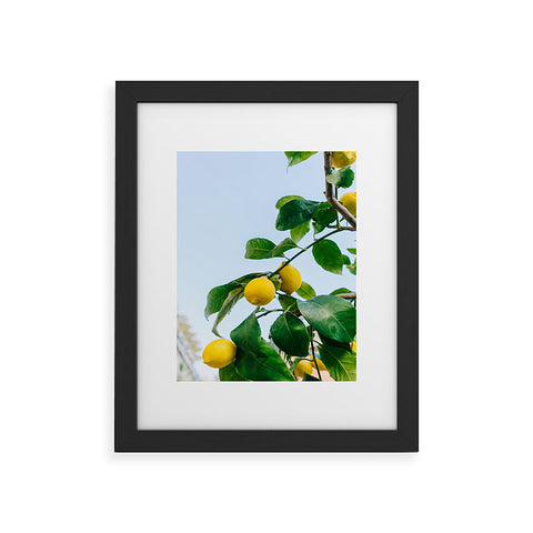 Bethany Young Photography Amalfi Coast Lemons III Framed Art Print