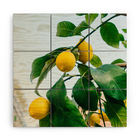 Bethany Young Photography Amalfi Coast Lemons III Wood Wall Mural