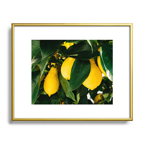 Bethany Young Photography Amalfi Coast Lemons Metal Framed Art Print