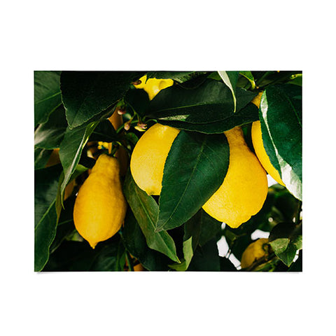 Bethany Young Photography Amalfi Coast Lemons Poster