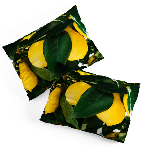 Bethany Young Photography Amalfi Coast Lemons Pillow Shams