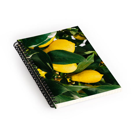 Bethany Young Photography Amalfi Coast Lemons Spiral Notebook