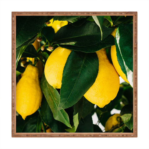 Bethany Young Photography Amalfi Coast Lemons Square Tray