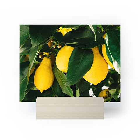Bethany Young Photography Amalfi Coast Lemons Mini Art Print
