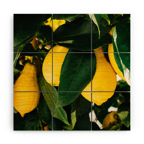 Bethany Young Photography Amalfi Coast Lemons Wood Wall Mural