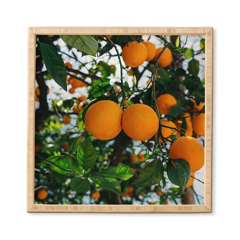 Bethany Young Photography Amalfi Coast Oranges III Framed Wall Art