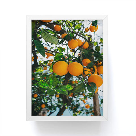 Bethany Young Photography Amalfi Coast Oranges III Framed Mini Art Print