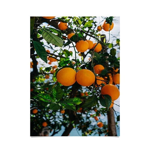Bethany Young Photography Amalfi Coast Oranges III Poster