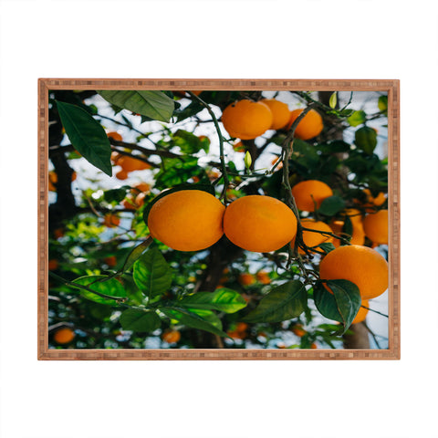 Bethany Young Photography Amalfi Coast Oranges III Rectangular Tray