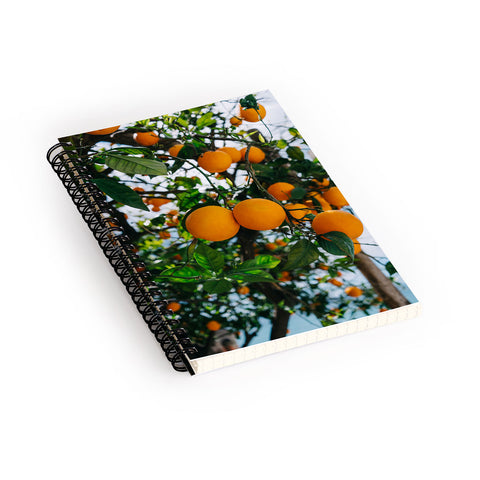 Bethany Young Photography Amalfi Coast Oranges III Spiral Notebook