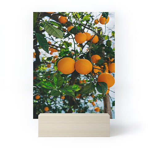 Bethany Young Photography Amalfi Coast Oranges III Mini Art Print
