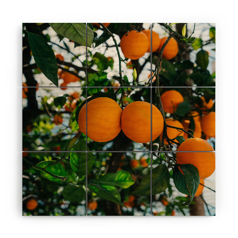 Bethany Young Photography Amalfi Coast Oranges III Wood Wall Mural