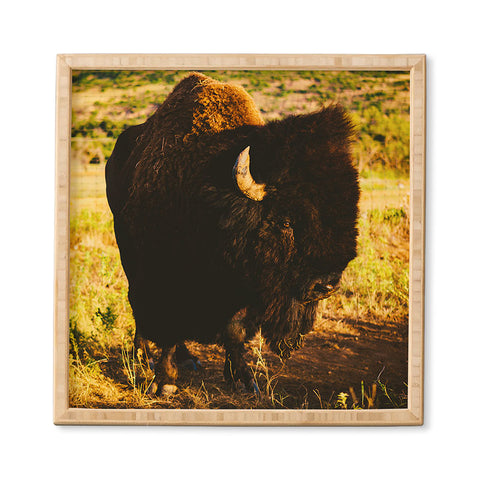 Bethany Young Photography Beauty Beast Framed Wall Art