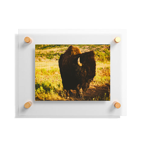 Bethany Young Photography Beauty Beast Floating Acrylic Print