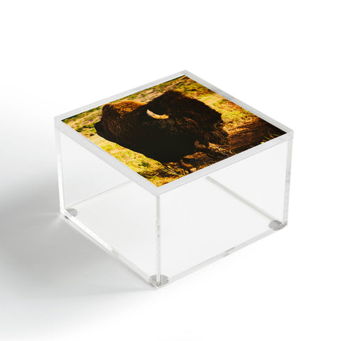 Bethany Young Photography Beauty Beast Acrylic Box
