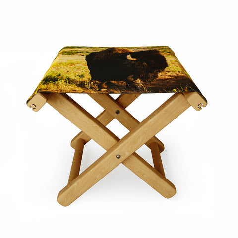 Bethany Young Photography Beauty Beast Folding Stool