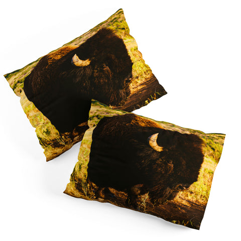 Bethany Young Photography Beauty Beast Pillow Shams