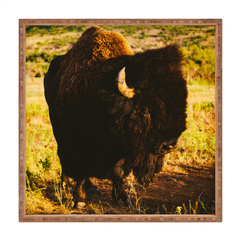 Bethany Young Photography Beauty Beast Square Tray