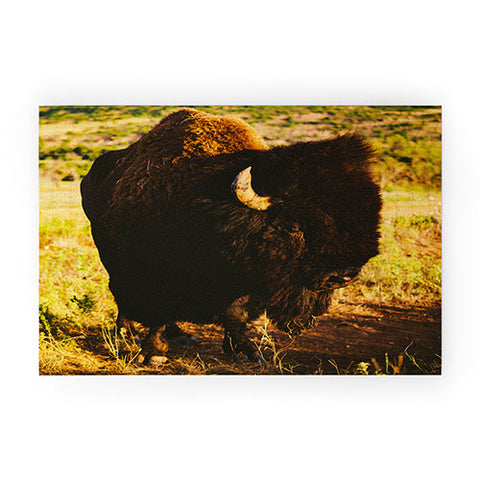 Bethany Young Photography Beauty Beast Welcome Mat