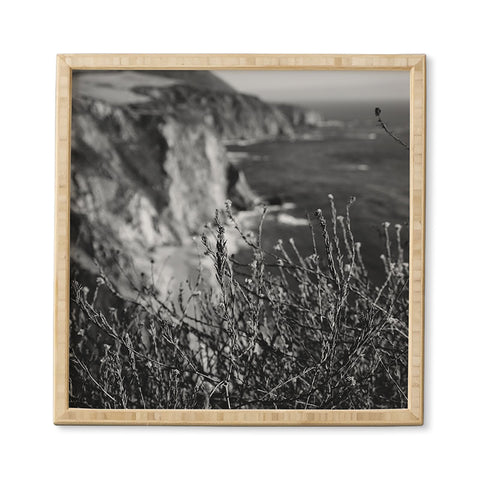 Bethany Young Photography Big Sur Wild Flowers Framed Wall Art