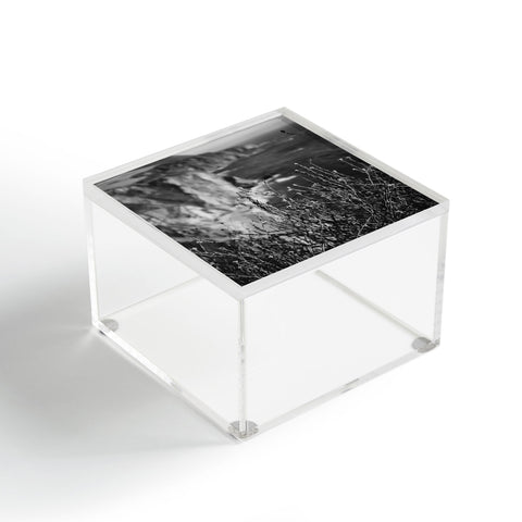 Bethany Young Photography Big Sur Wild Flowers Acrylic Box