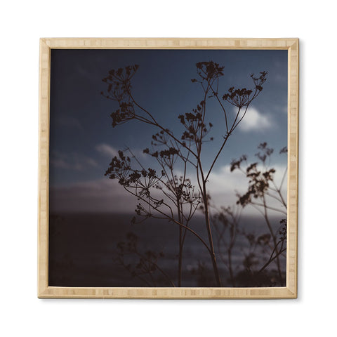 Bethany Young Photography Big Sur Wild Flowers III Framed Wall Art