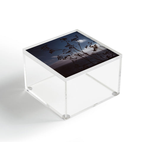 Bethany Young Photography Big Sur Wild Flowers III Acrylic Box