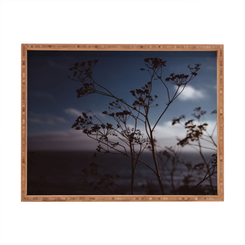Bethany Young Photography Big Sur Wild Flowers III Rectangular Tray