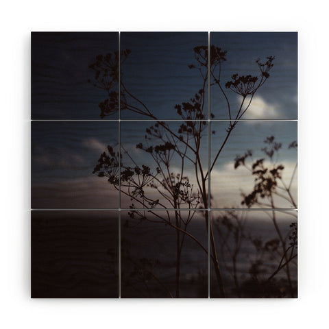 Bethany Young Photography Big Sur Wild Flowers III Wood Wall Mural