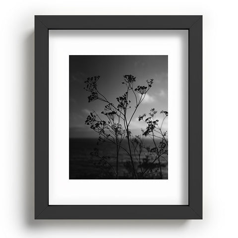 Bethany Young Photography Big Sur Wild Flowers IV Recessed Framing Rectangle