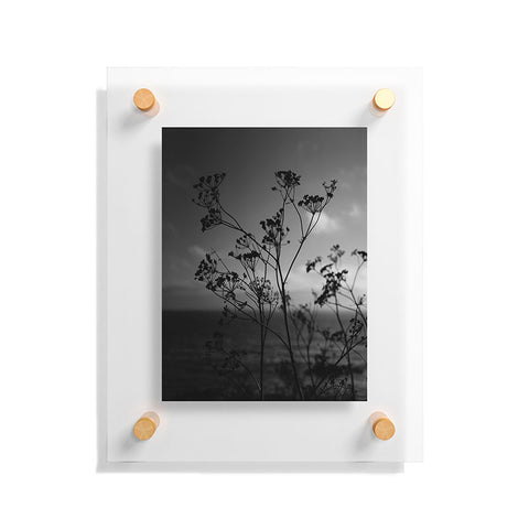 Bethany Young Photography Big Sur Wild Flowers IV Floating Acrylic Print