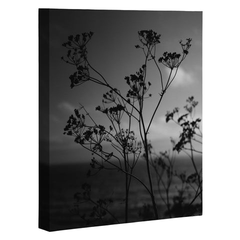 Bethany Young Photography Big Sur Wild Flowers IV Art Canvas