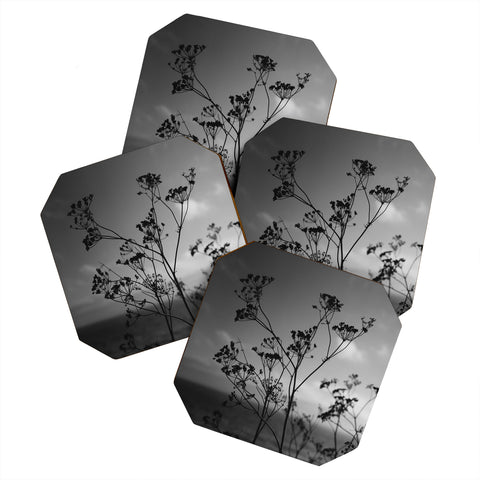 Bethany Young Photography Big Sur Wild Flowers IV Coaster Set