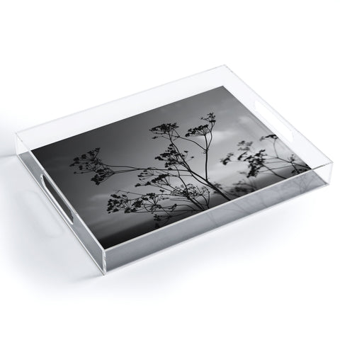Bethany Young Photography Big Sur Wild Flowers IV Acrylic Tray