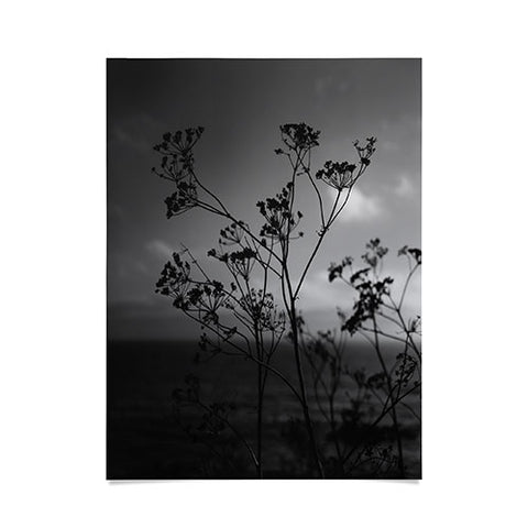 Bethany Young Photography Big Sur Wild Flowers IV Poster