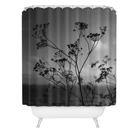 Bethany Young Photography Big Sur Wild Flowers IV Shower Curtain