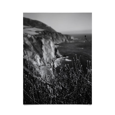 Bethany Young Photography Big Sur Wild Flowers Poster