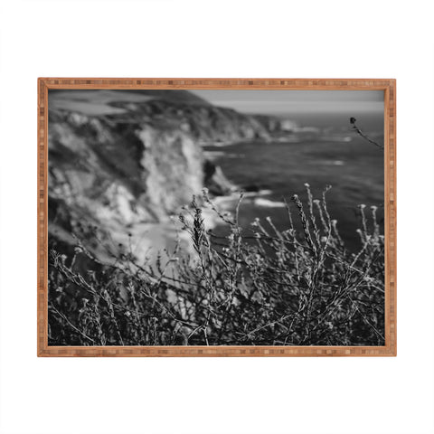 Bethany Young Photography Big Sur Wild Flowers Rectangular Tray