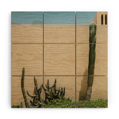 Bethany Young Photography Cabo Architecture Wood Wall Mural