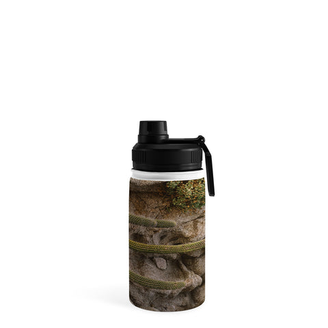 Bethany Young Photography Cabo Cactus III Water Bottle