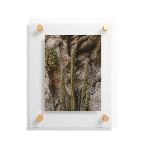 Bethany Young Photography Cabo Cactus III Floating Acrylic Print