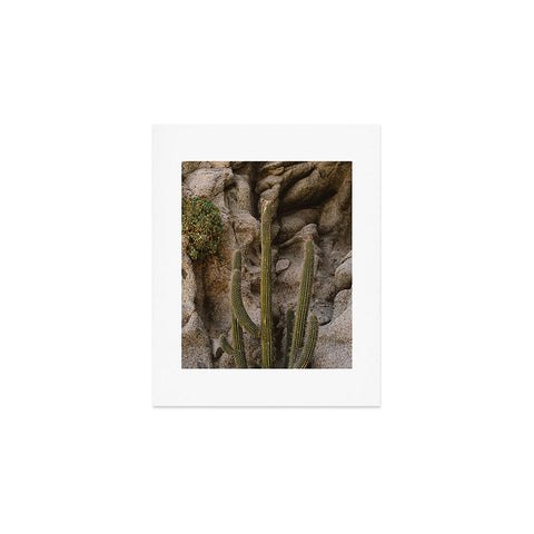Bethany Young Photography Cabo Cactus III Art Print