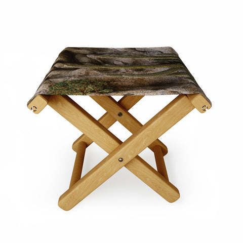 Bethany Young Photography Cabo Cactus III Folding Stool