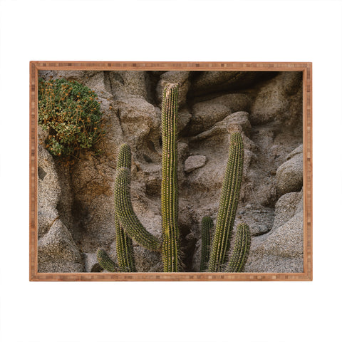 Bethany Young Photography Cabo Cactus III Rectangular Tray