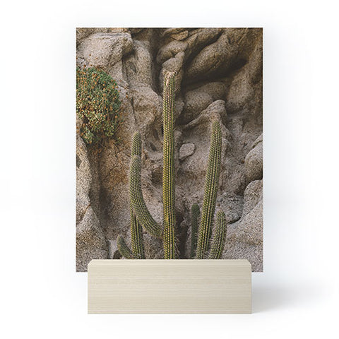 Bethany Young Photography Cabo Cactus III Mini Art Print