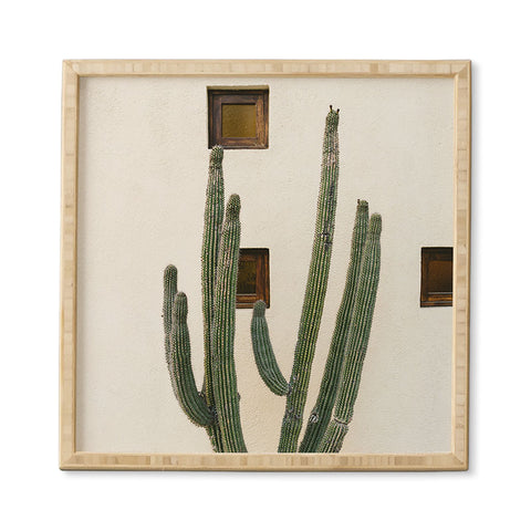 Bethany Young Photography Cabo Cactus IX Framed Wall Art